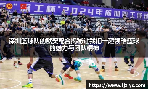 深圳篮球队的默契配合揭秘让我们一起领略篮球的魅力与团队精神
