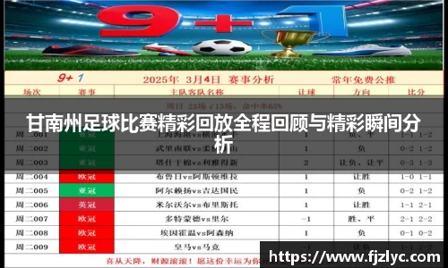 甘南州足球比赛精彩回放全程回顾与精彩瞬间分析