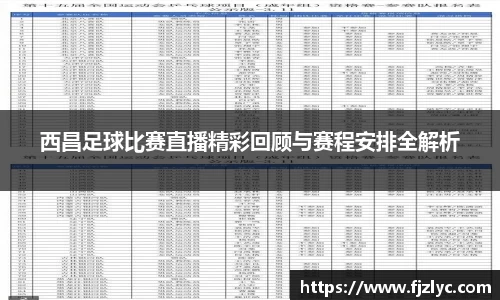 新足球体育直播