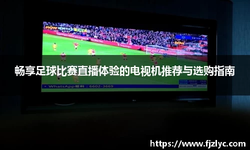 新足球直播在线观看