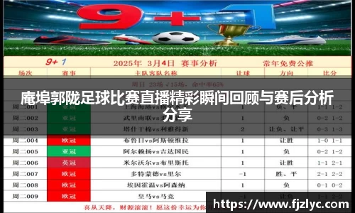 庵埠郭陇足球比赛直播精彩瞬间回顾与赛后分析分享