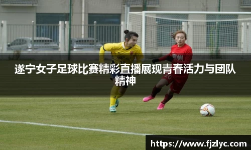 新足球体育直播