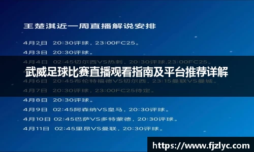 新足球体育直播